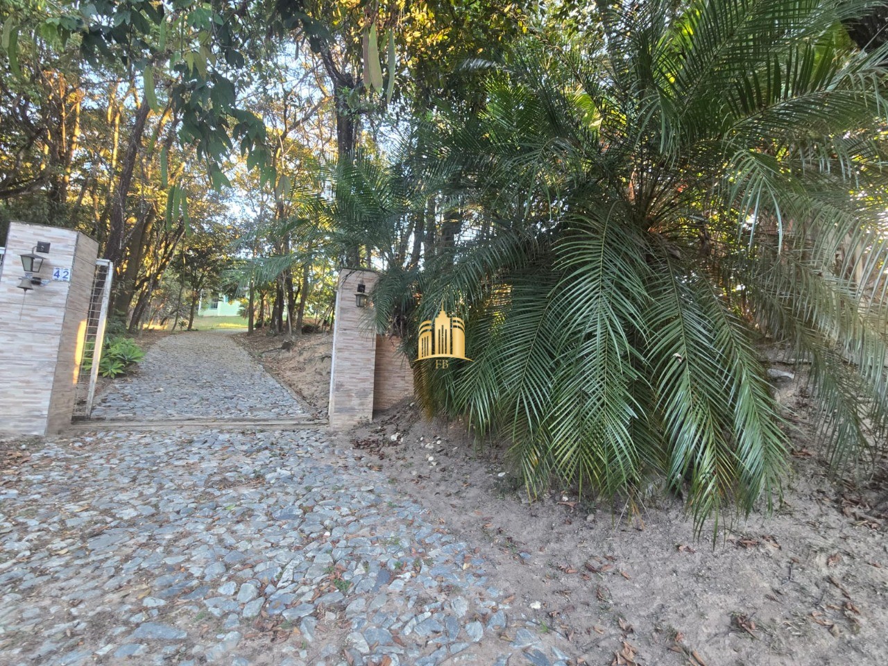Sítio, 3 quartos, 5000 m² - Foto 6