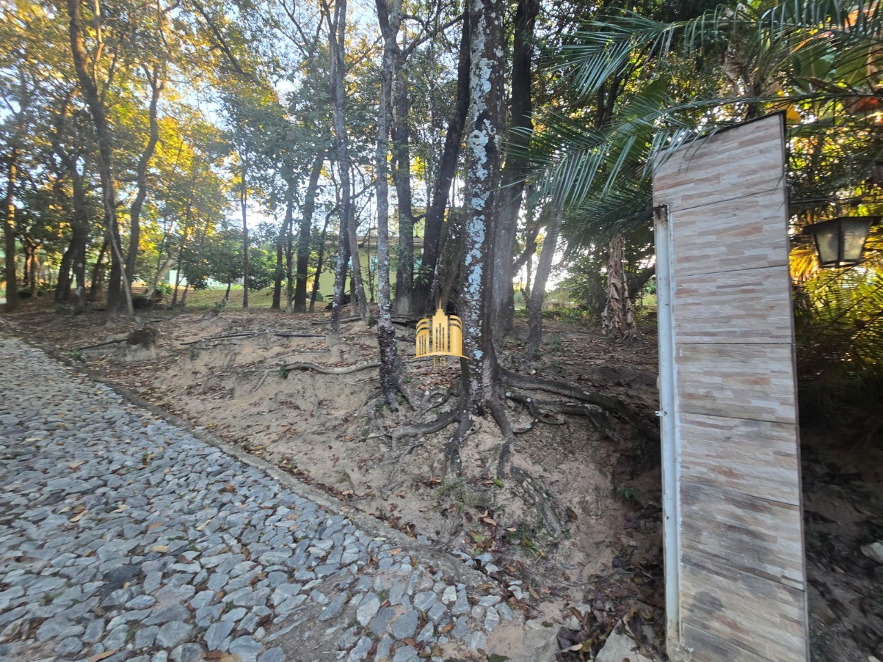 Sítio, 3 quartos, 5000 m² - Foto 5