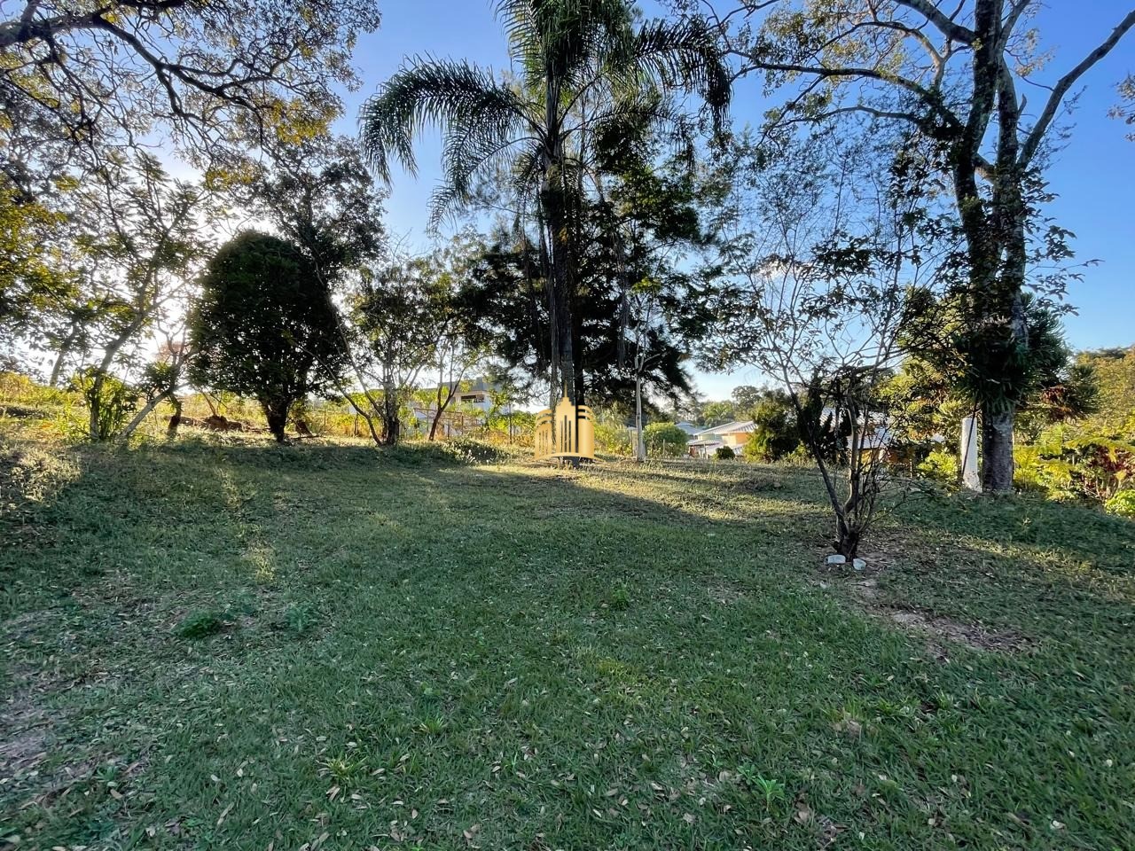 Sítio, 2 quartos, 5000 m² - Foto 32