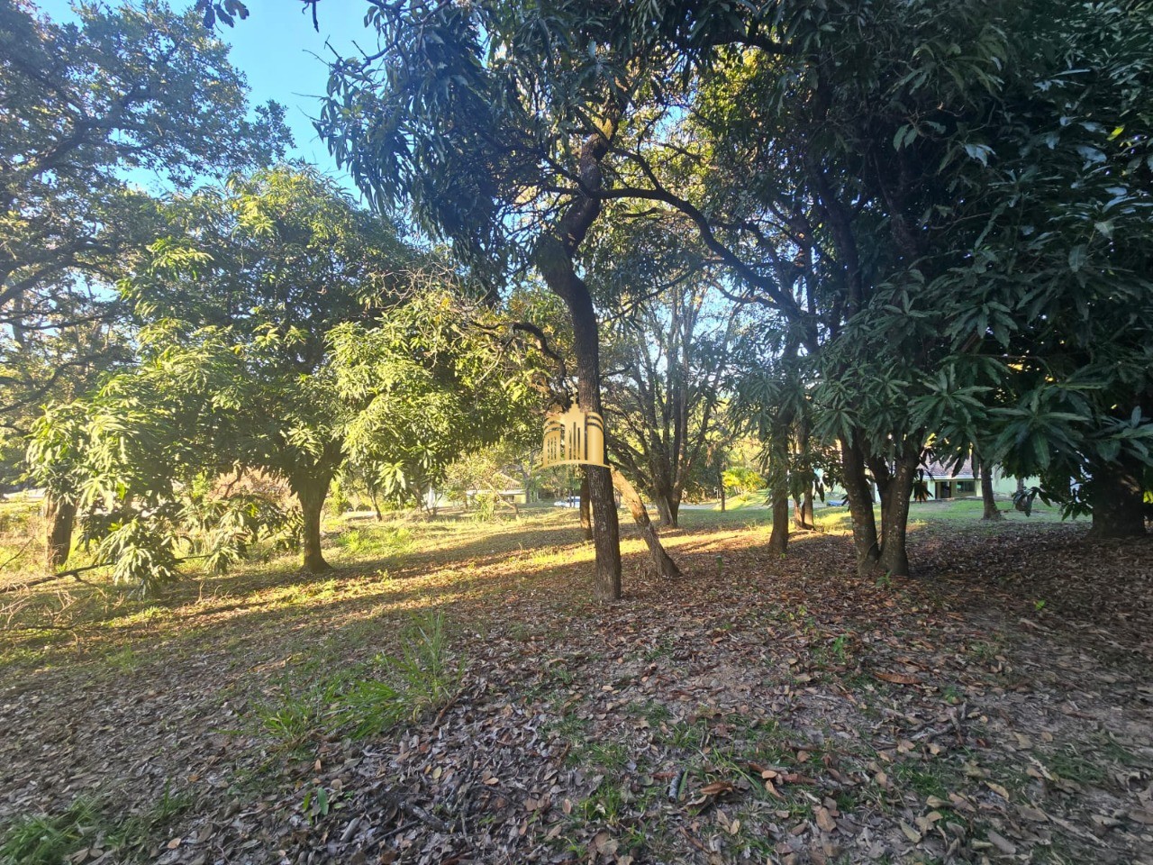 Sítio, 3 quartos, 5000 m² - Foto 45