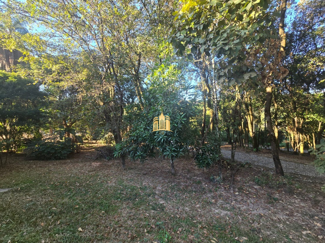 Sítio, 3 quartos, 5000 m² - Foto 27