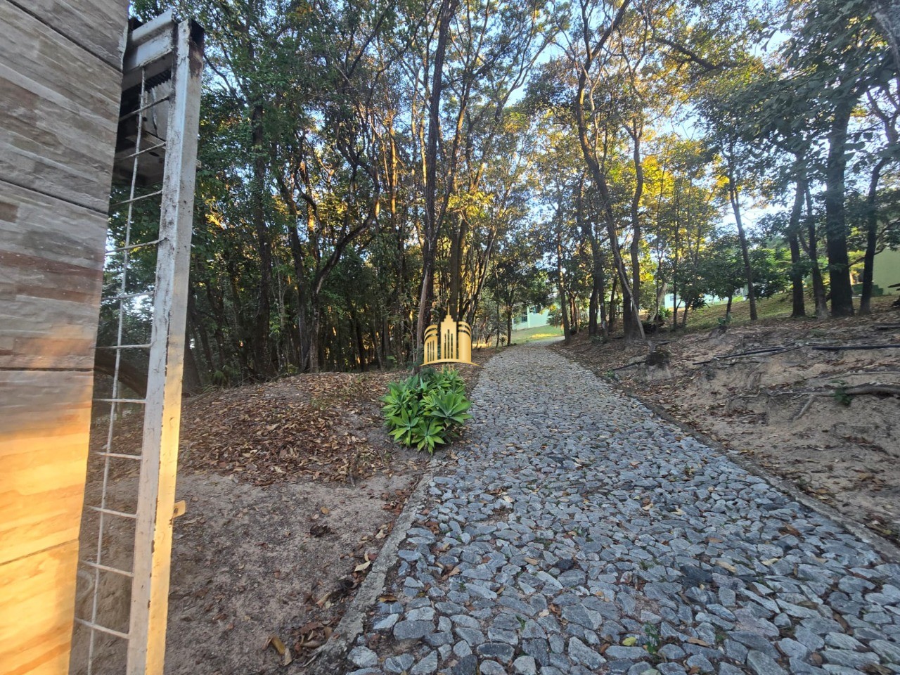 Sítio, 3 quartos, 5000 m² - Foto 2