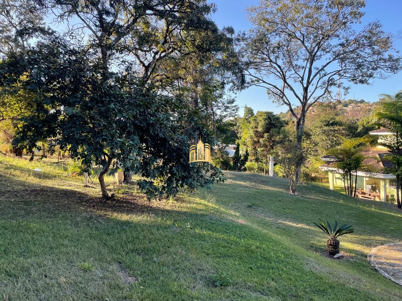 Sítio, 2 quartos, 5000 m² - Foto 7