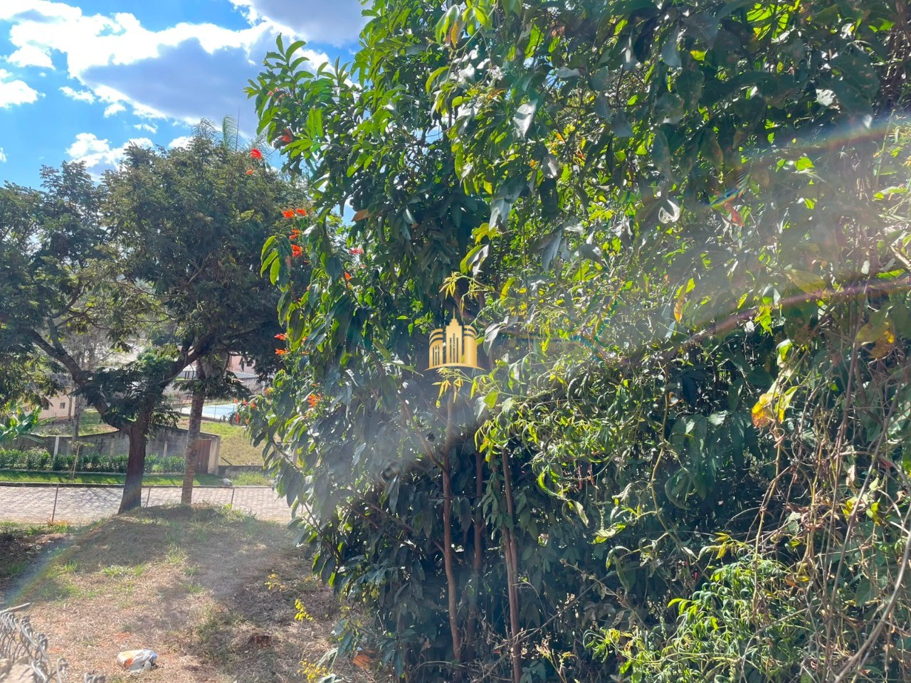 Terreno, 2200 m² - Foto 11