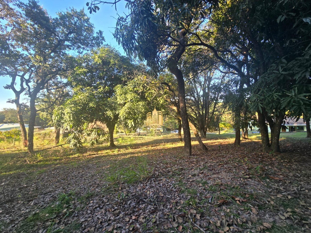 Sítio, 3 quartos, 5000 m² - Foto 49