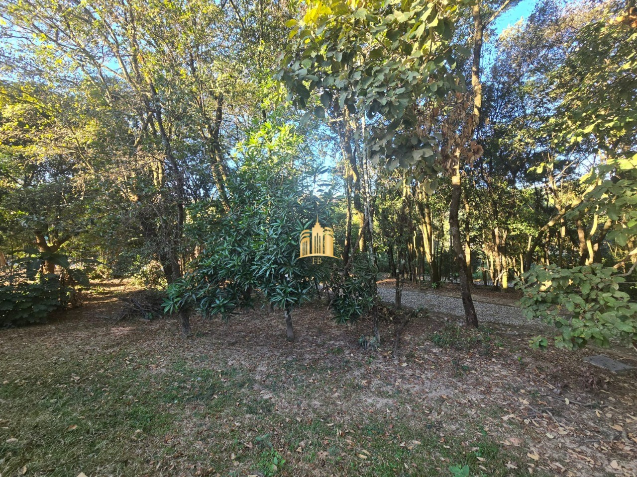 Sítio, 3 quartos, 5000 m² - Foto 28