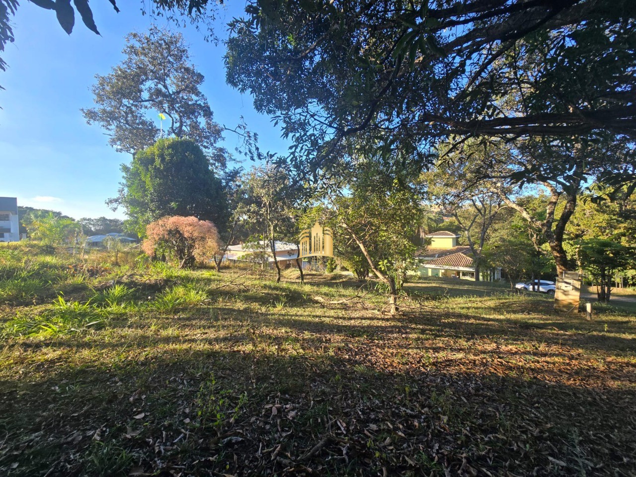 Sítio, 3 quartos, 5000 m² - Foto 44