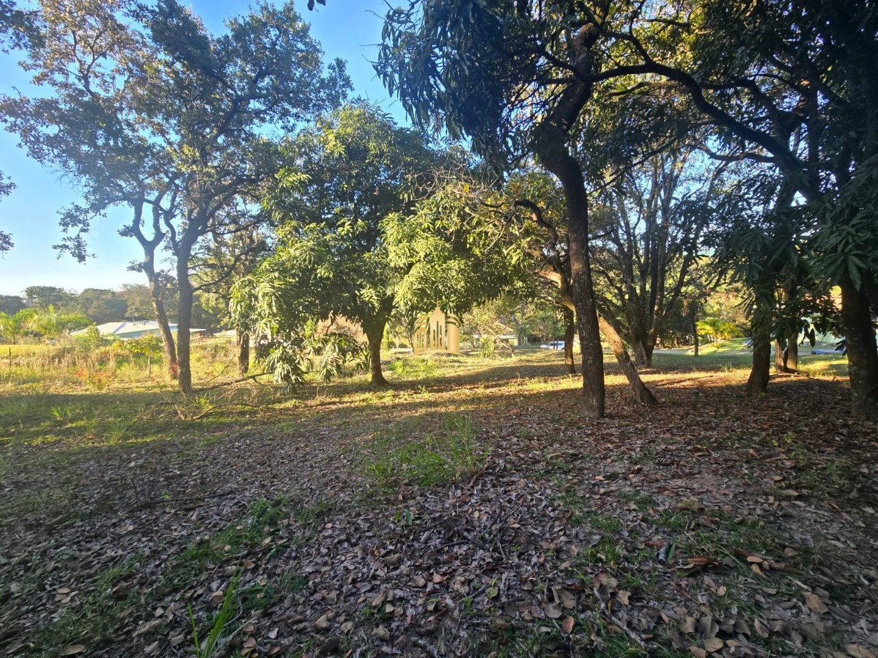 Sítio, 3 quartos, 5000 m² - Foto 46