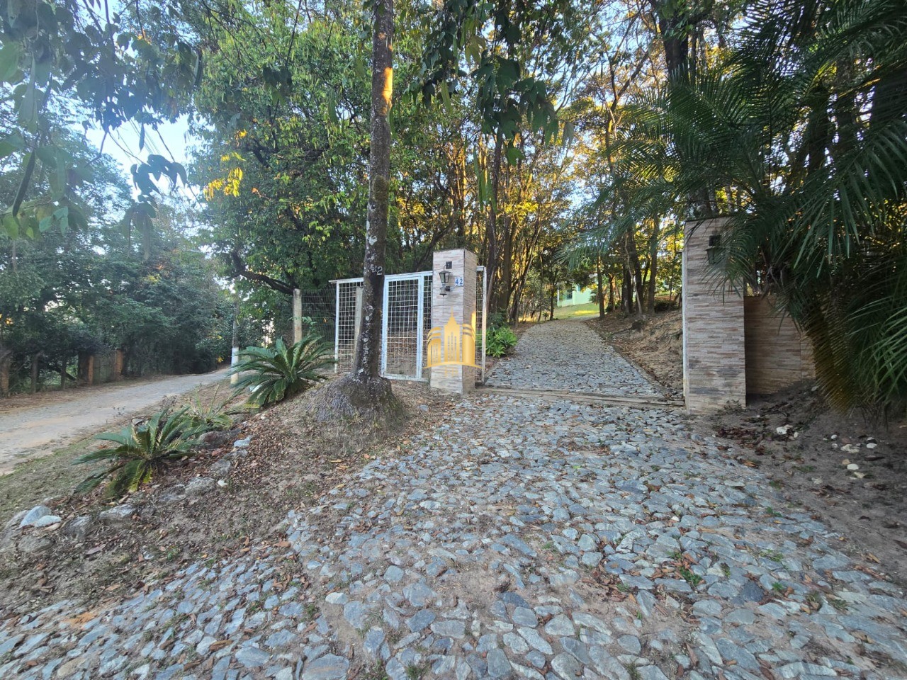 Sítio, 3 quartos, 5000 m² - Foto 3
