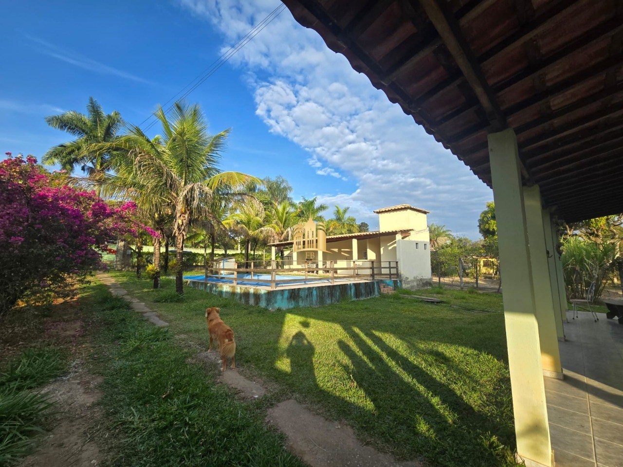 Sítio, 4 quartos, 2500 m² - Foto 37