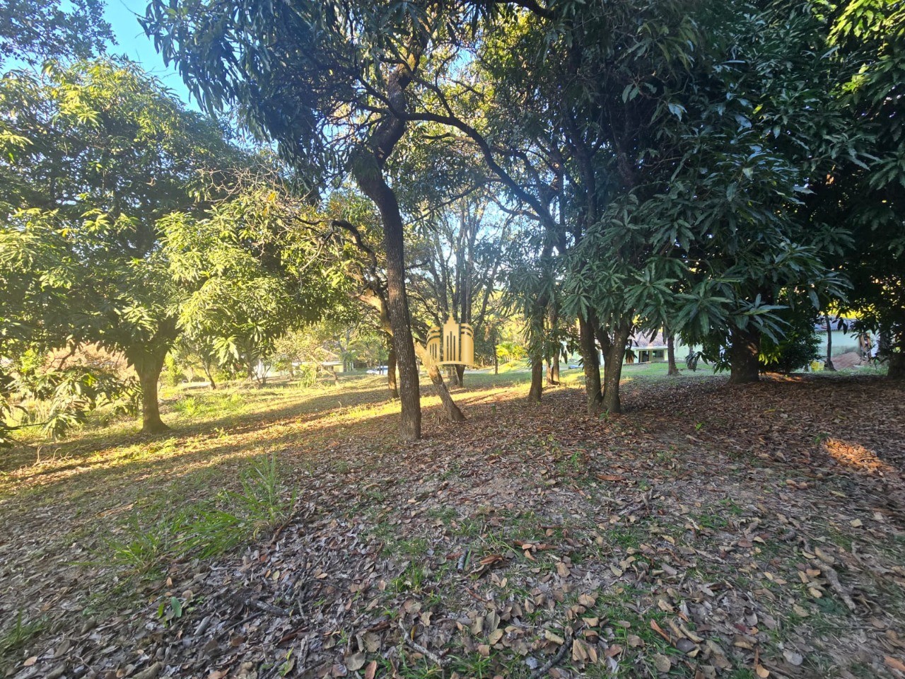 Sítio, 3 quartos, 5000 m² - Foto 48