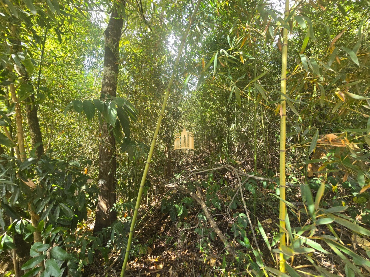 Terreno, 2200 m² - Foto 5
