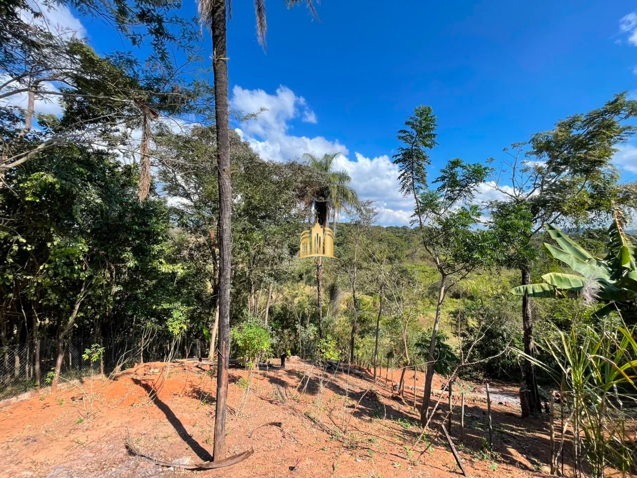 Chácara, 1 quarto, 1000 m² - Foto 2