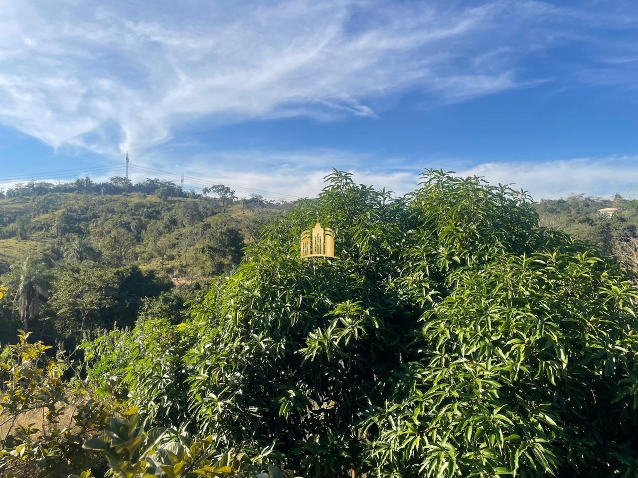 Sítio, 4 quartos, 2500 m² - Foto 76