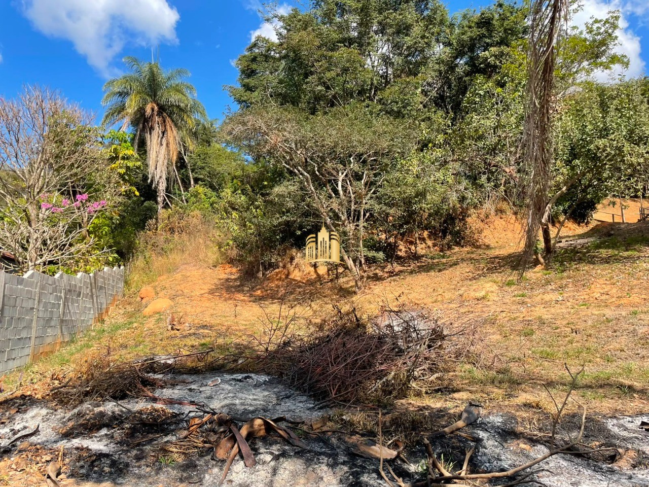 Terreno, 2200 m² - Foto 6