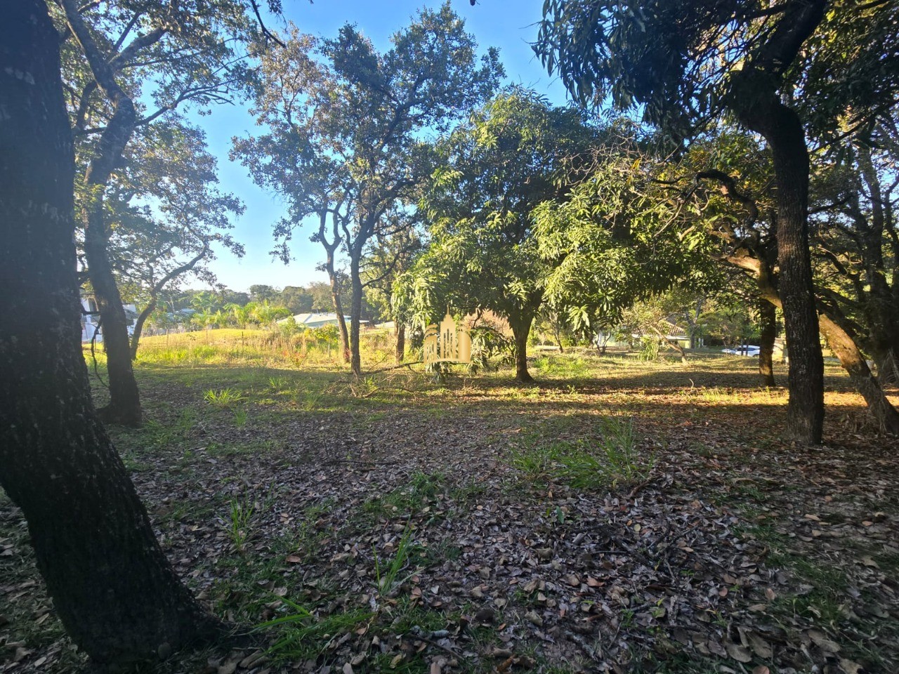 Sítio, 3 quartos, 5000 m² - Foto 50