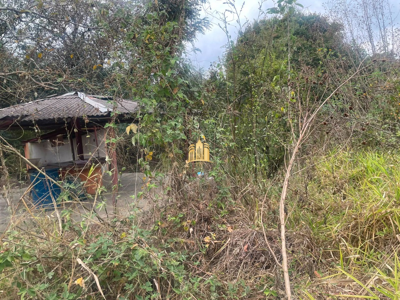 Terreno, 1135 m² - Foto 1