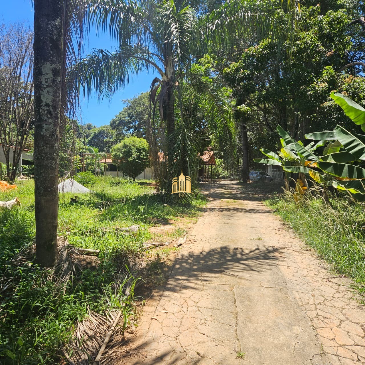 Sítio, 3 quartos, 3300 m² - Foto 7