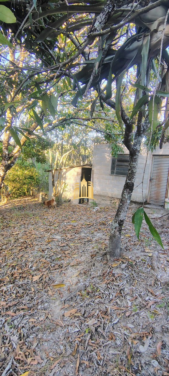 Sítio, 3 quartos, 5000 m² - Foto 12