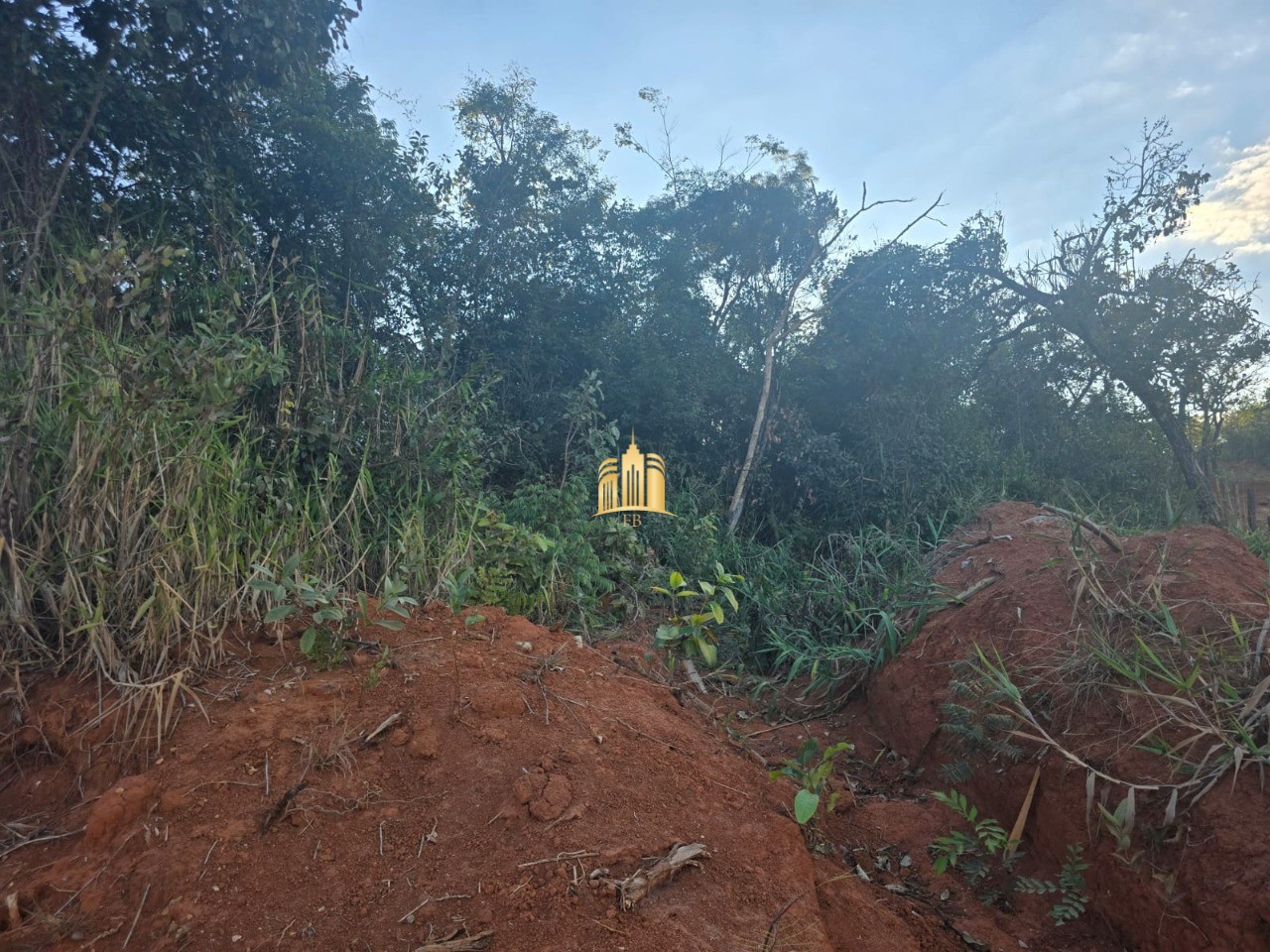 Terreno, 1000 m² - Foto 1