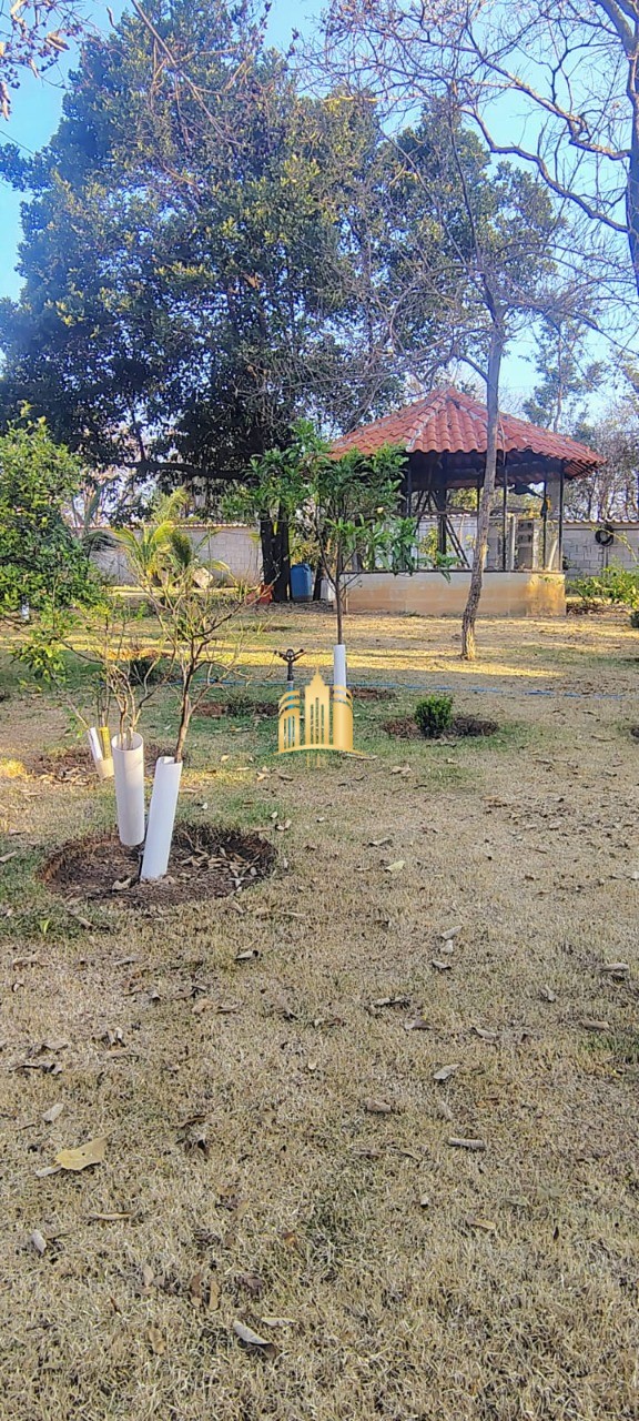 Sítio, 4 quartos, 5000 m² - Foto 3