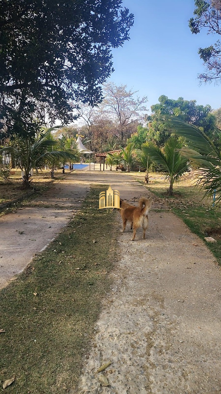 Sítio, 4 quartos, 5000 m² - Foto 36