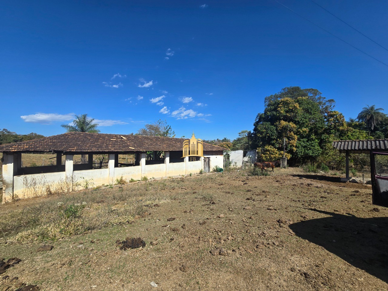 Fazenda, 6 hectares - Foto 15