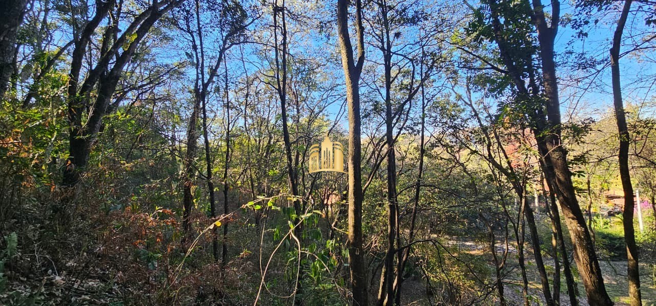 Sítio, 5 quartos, 2 hectares - Foto 61