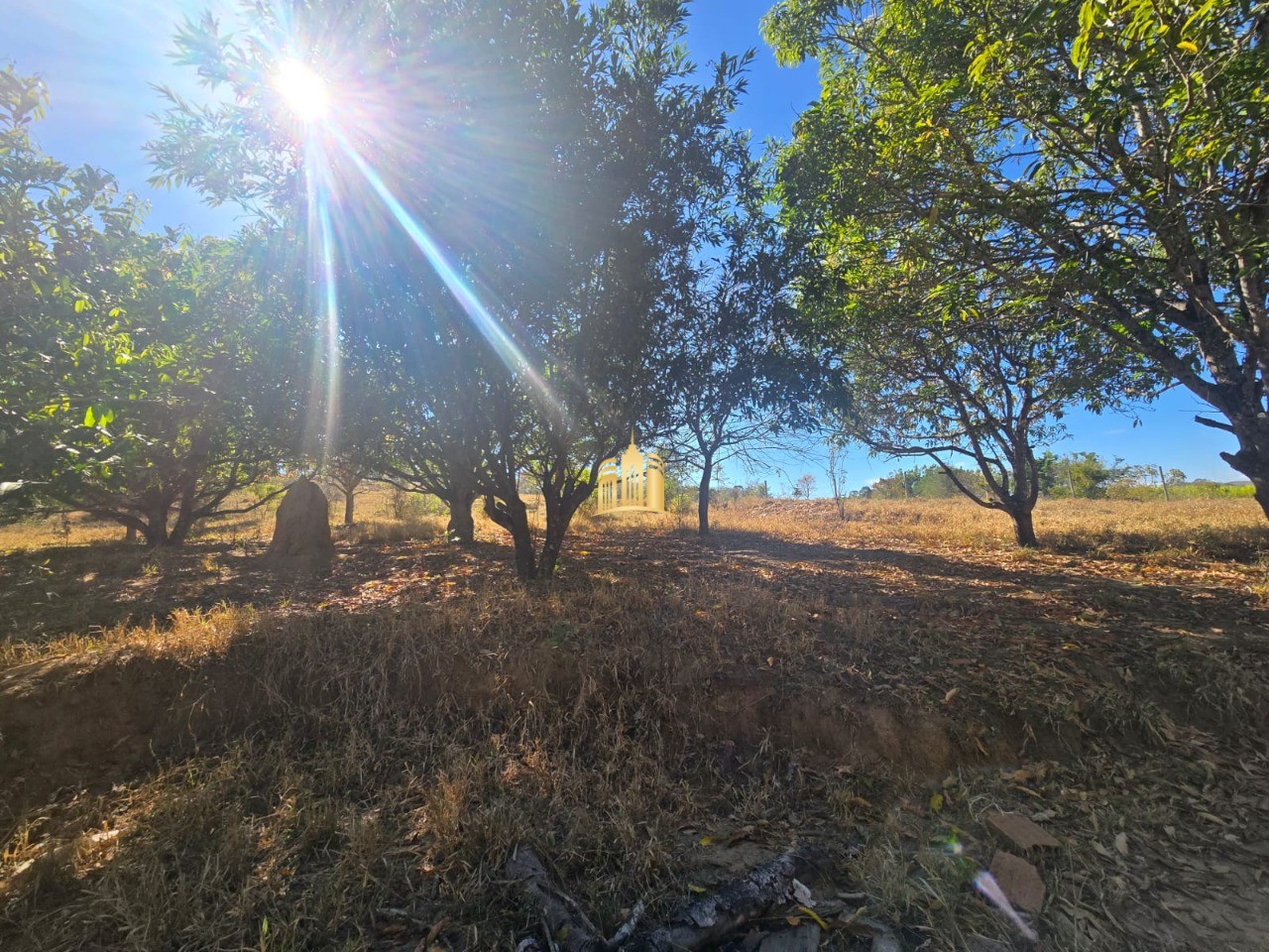 Fazenda, 1 hectares - Foto 47