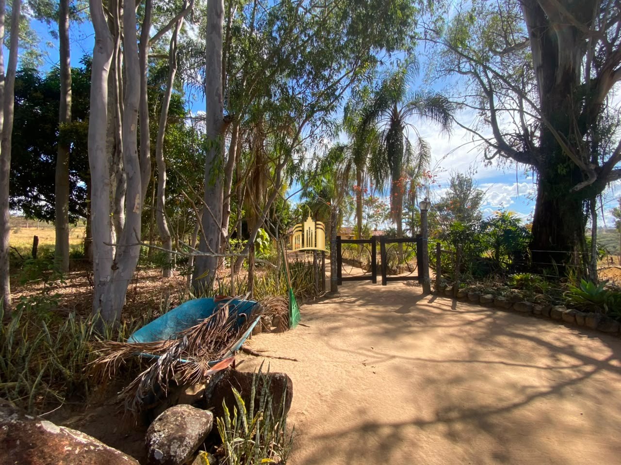 Sítio, 3 quartos, 2 hectares - Foto 4