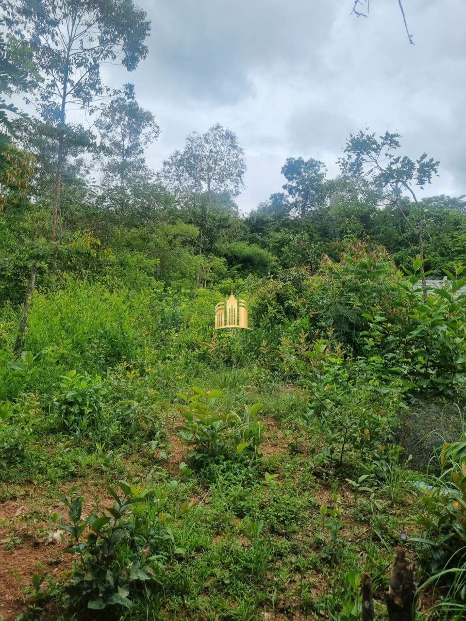 Terreno, 1499 m² - Foto 1