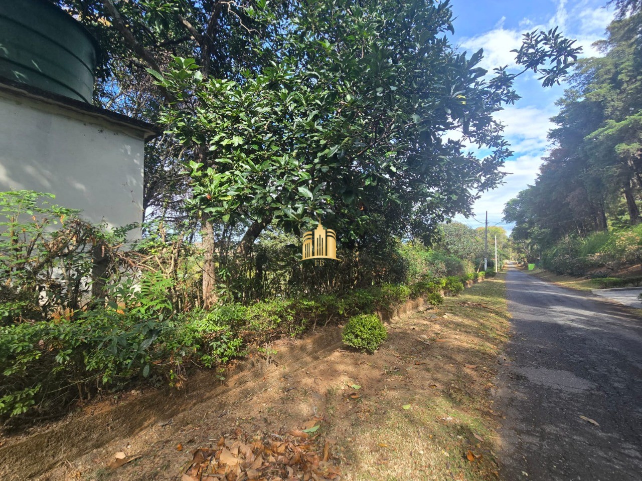 Sítio, 3 quartos, 5000 m² - Foto 6