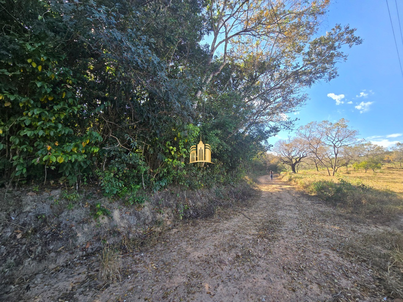 Fazenda, 6 hectares - Foto 9