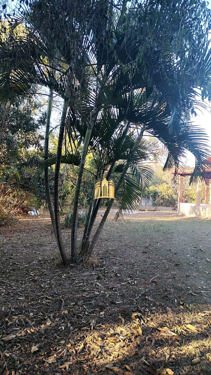 Sítio, 3 quartos, 5000 m² - Foto 26