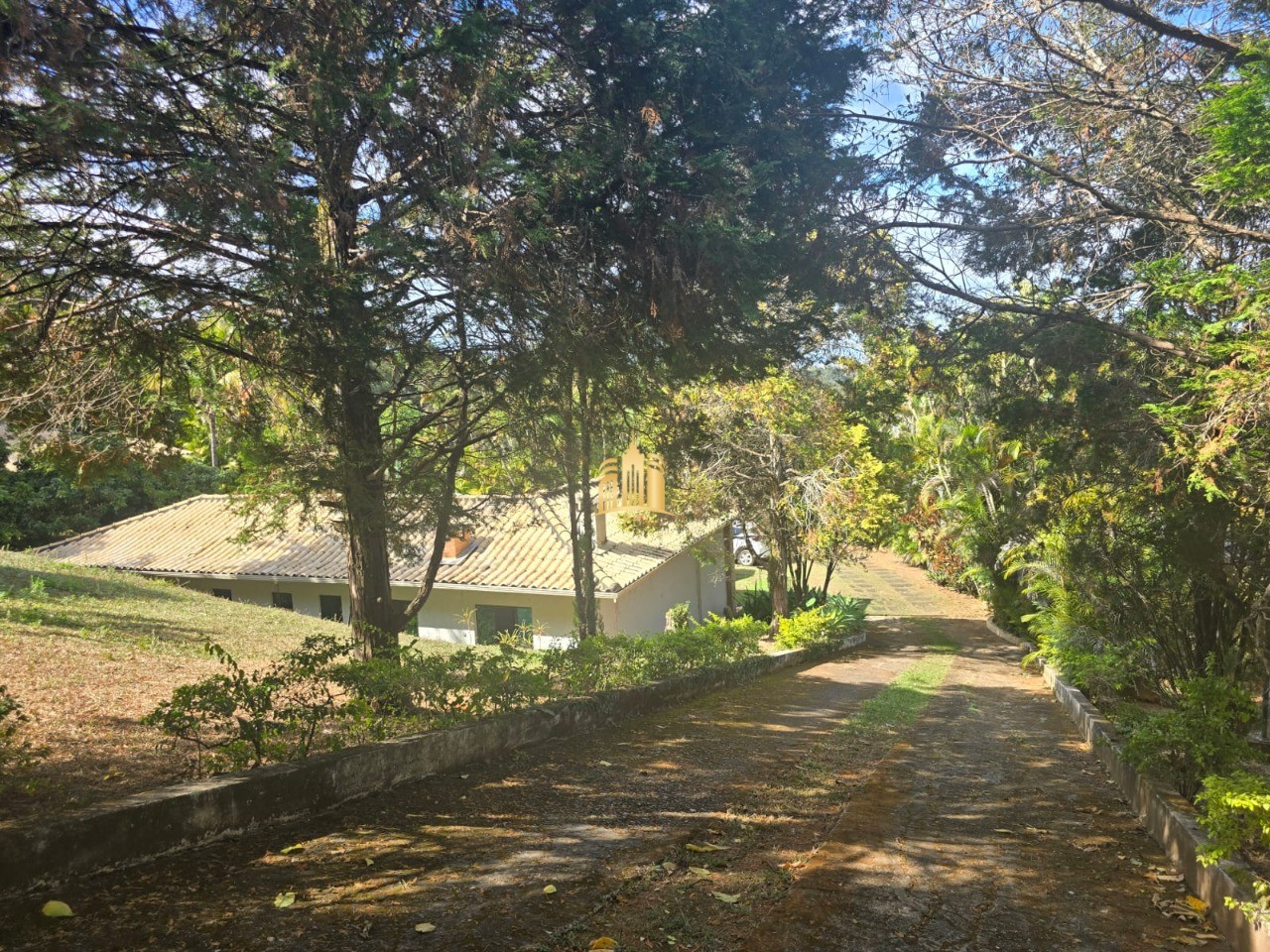 Sítio, 3 quartos, 5000 m² - Foto 7