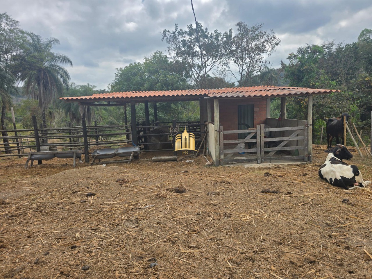 Fazenda, 10 hectares - Foto 60