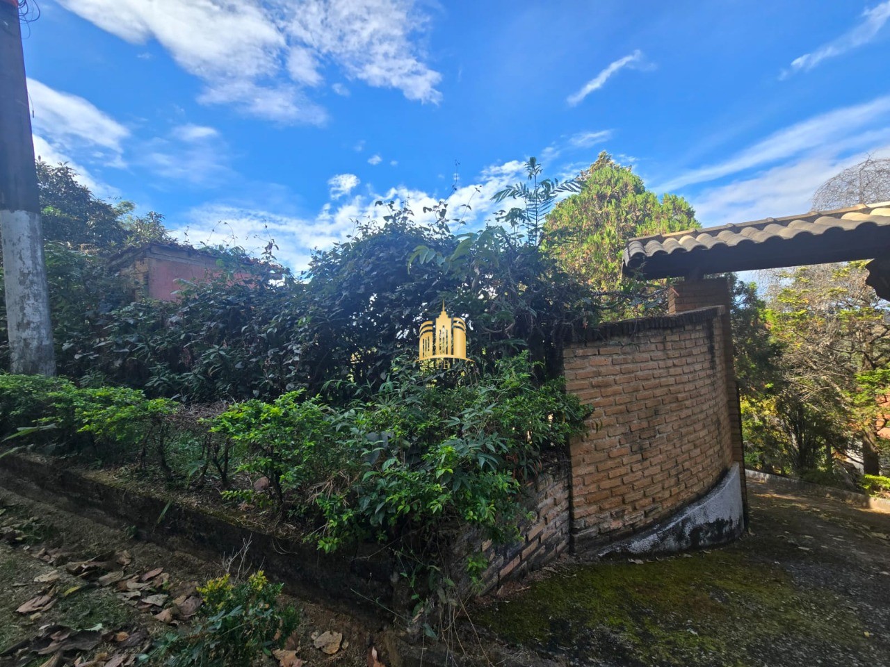 Sítio, 3 quartos, 5000 m² - Foto 3