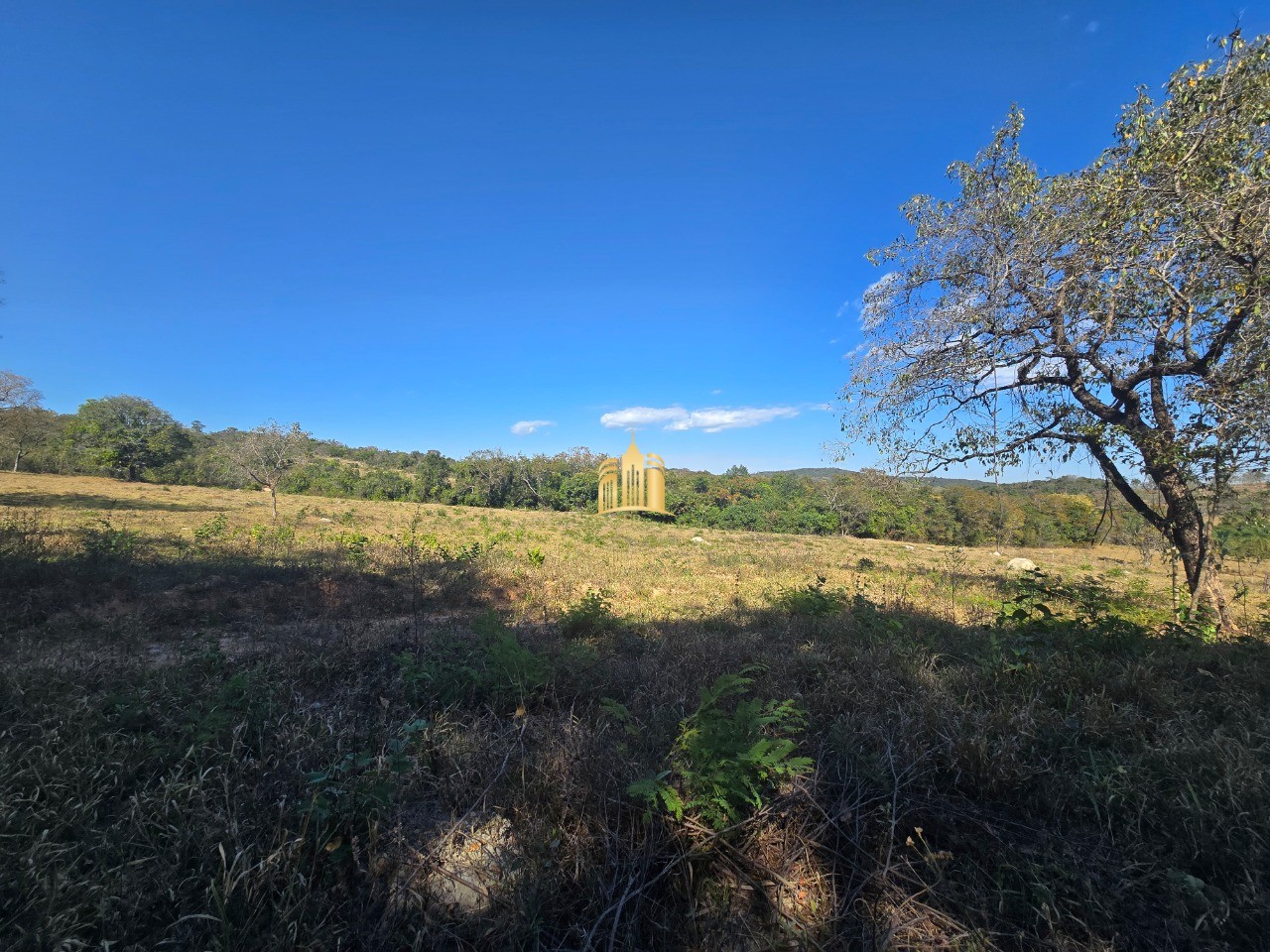 Fazenda, 6 hectares - Foto 3