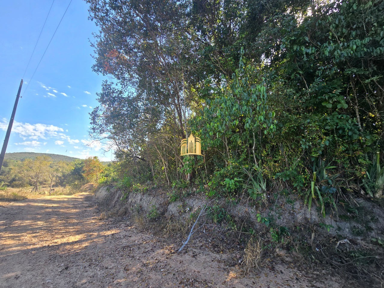 Fazenda, 6 hectares - Foto 10