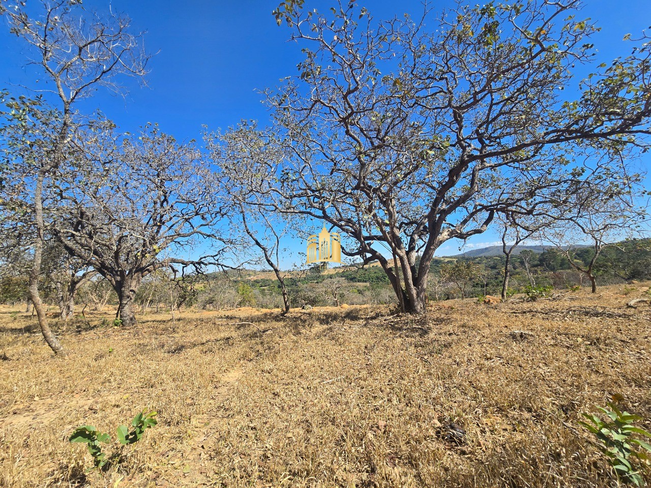 Fazenda, 6 hectares - Foto 72