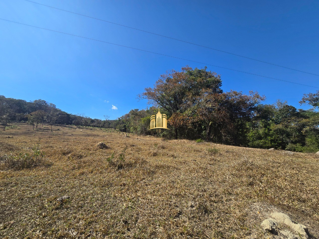 Fazenda, 6 hectares - Foto 25