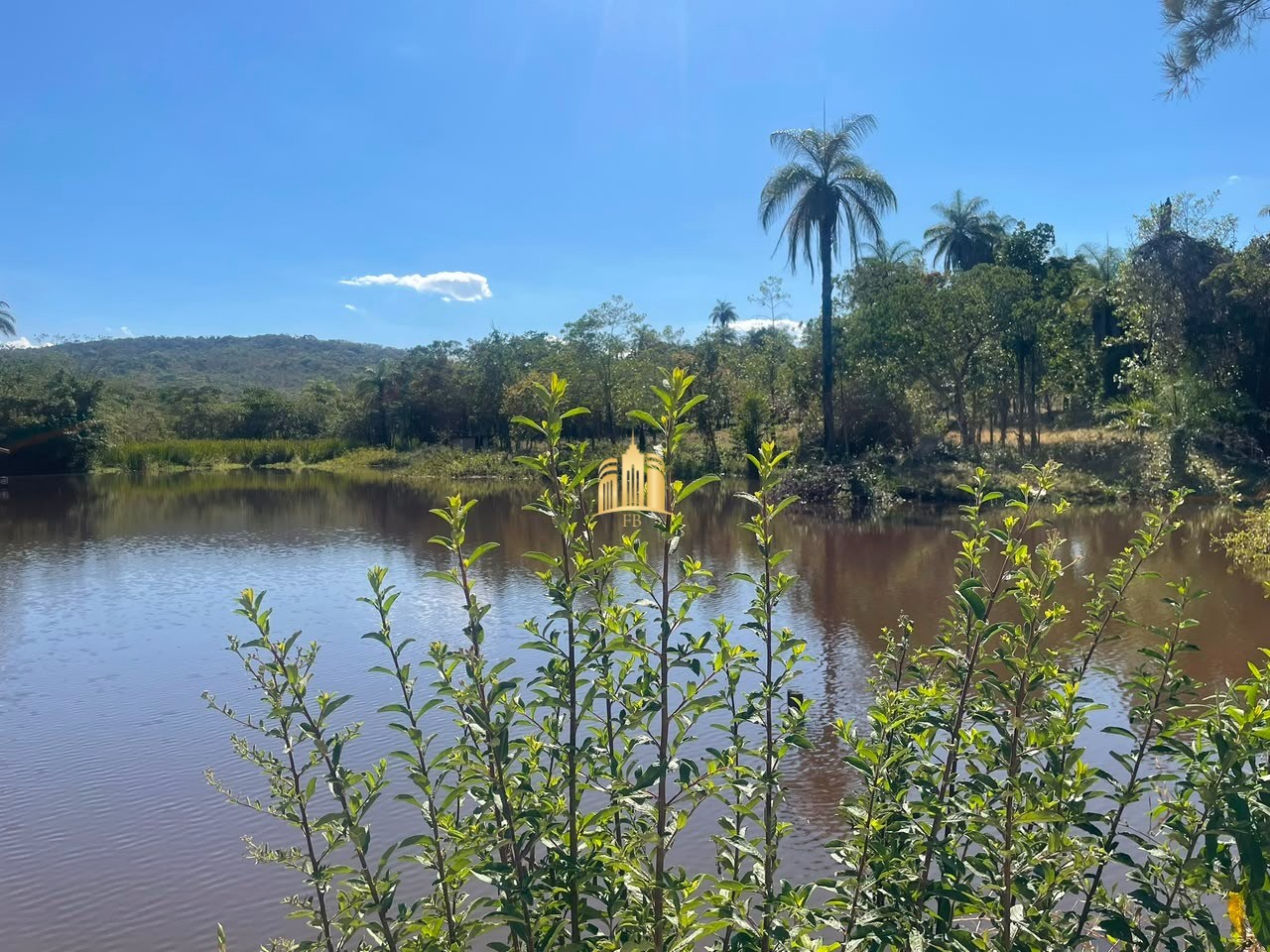 Fazenda, 6 hectares - Foto 91