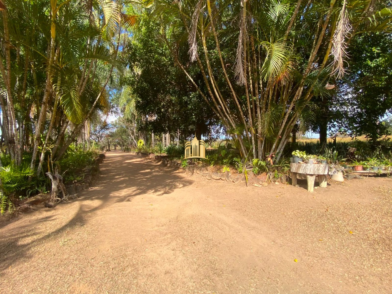 Sítio, 3 quartos, 2 hectares - Foto 22