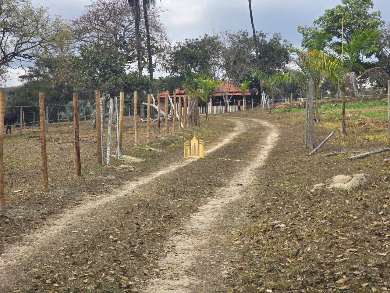 Fazenda, 10 hectares - Foto 3