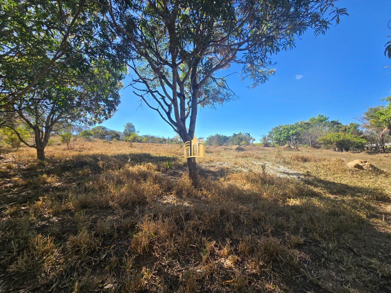 Fazenda, 1 hectares - Foto 44