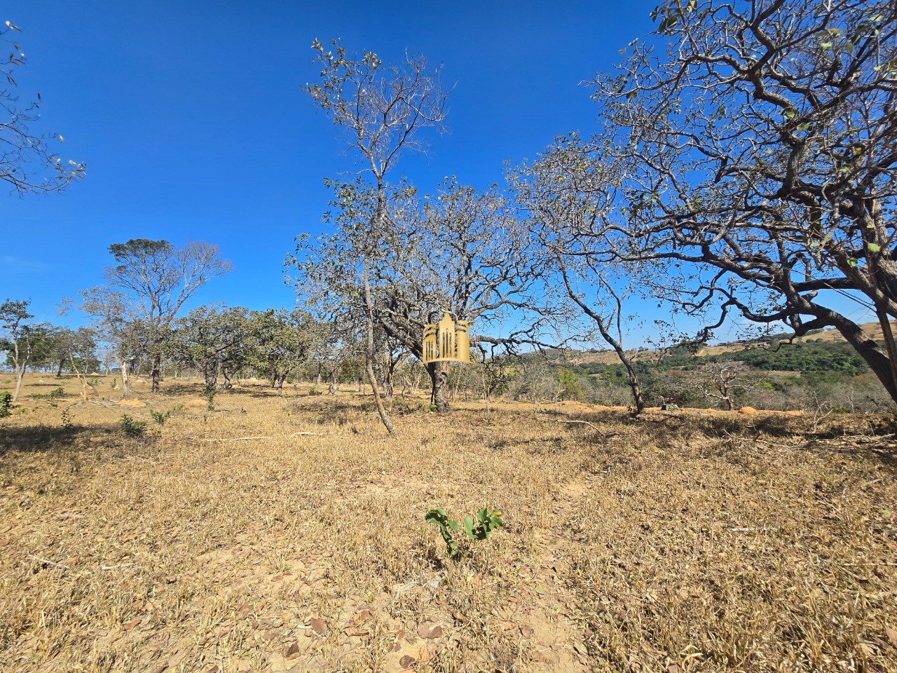 Fazenda, 6 hectares - Foto 74