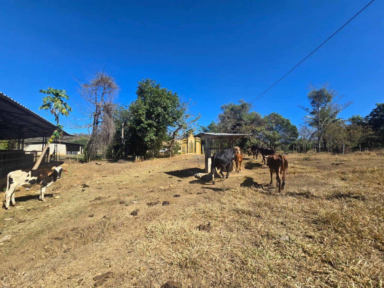 Fazenda, 1 hectares - Foto 32