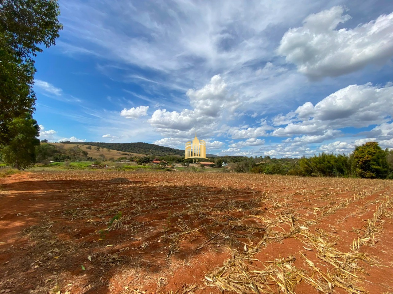 Terreno, 2 hectares - Foto 6