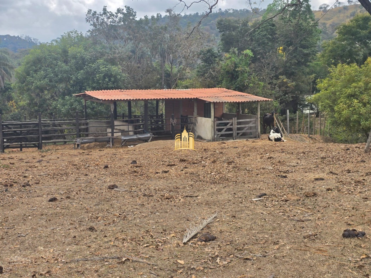Fazenda, 10 hectares - Foto 67