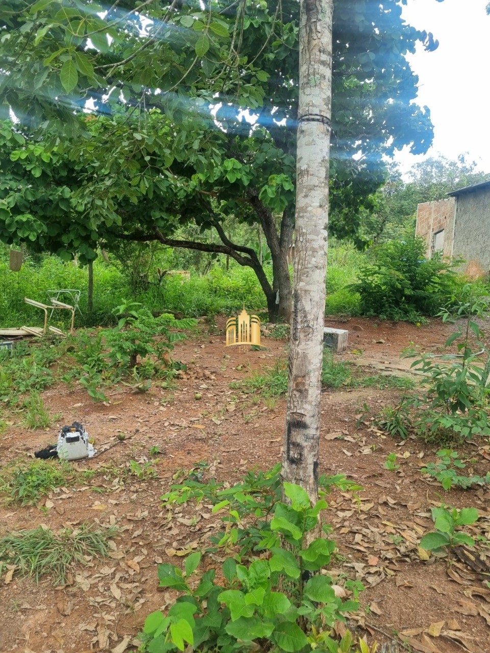 Terreno, 1499 m² - Foto 3